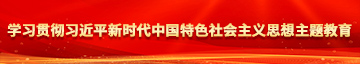 内射俄罗斯大白屁股学习贯彻习近平新时代中国特色社会主义思想主题教育